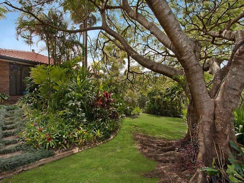 10 Biral Close, BILAMBIL NSW 2486, Bilambil - Thumbnail 3