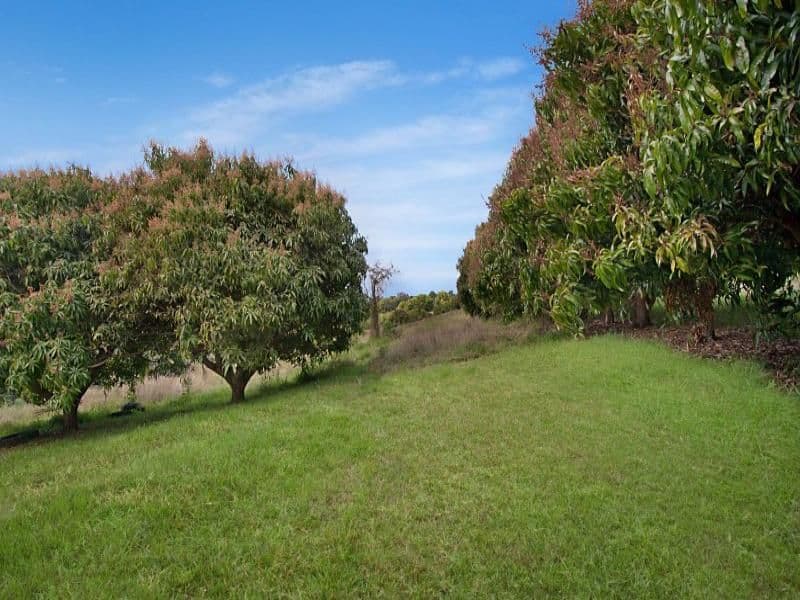 10 Biral Close, BILAMBIL NSW 2486, Bilambil - Thumbnail 6