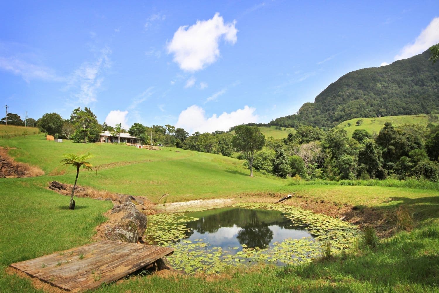 20 Hayters Road, NATURAL BRIDGE QLD 4211, Natural Bridge - Thumbnail 3