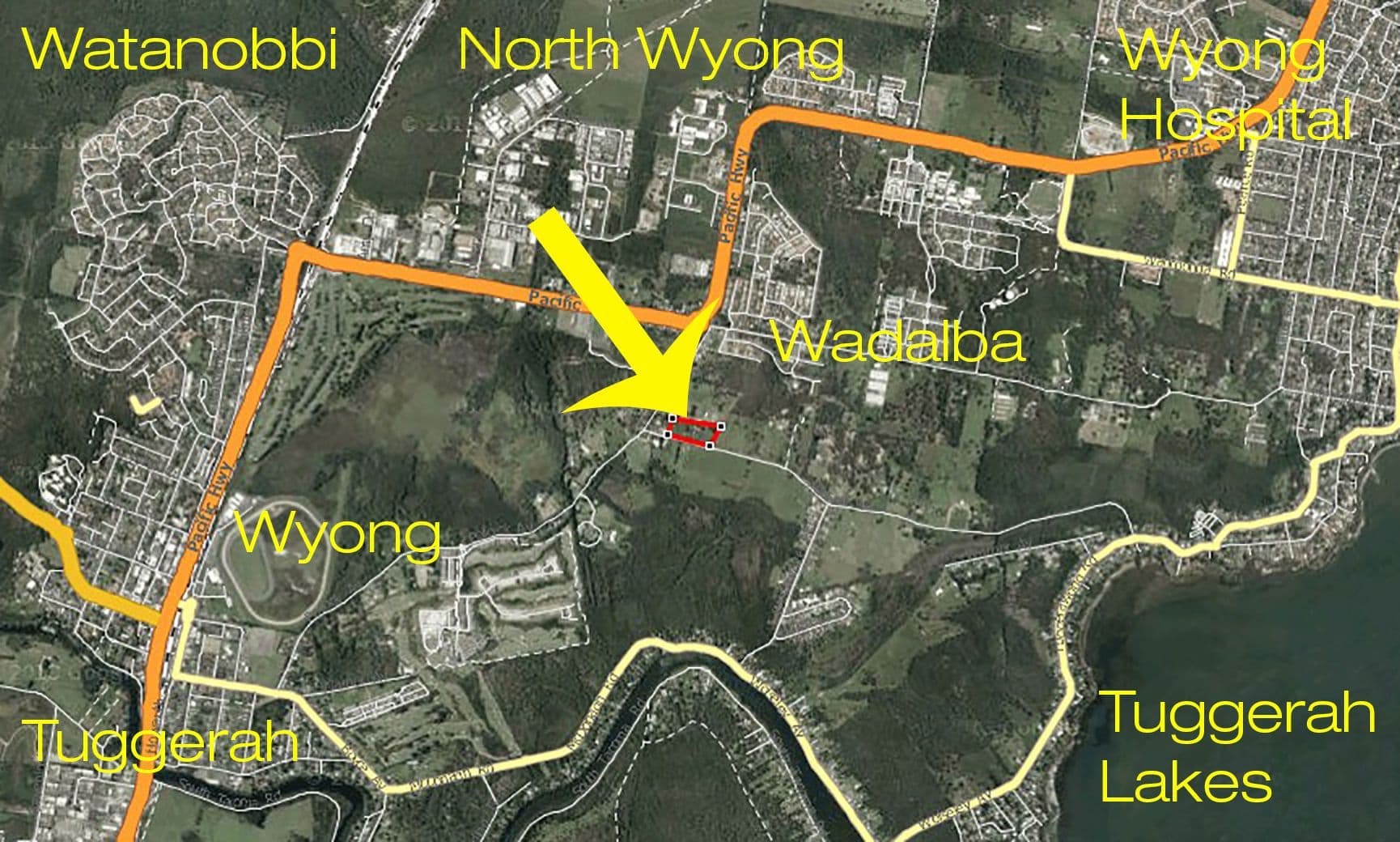 20 Jensen Road, WADALBA NSW 2259, Wadalba - Thumbnail 6