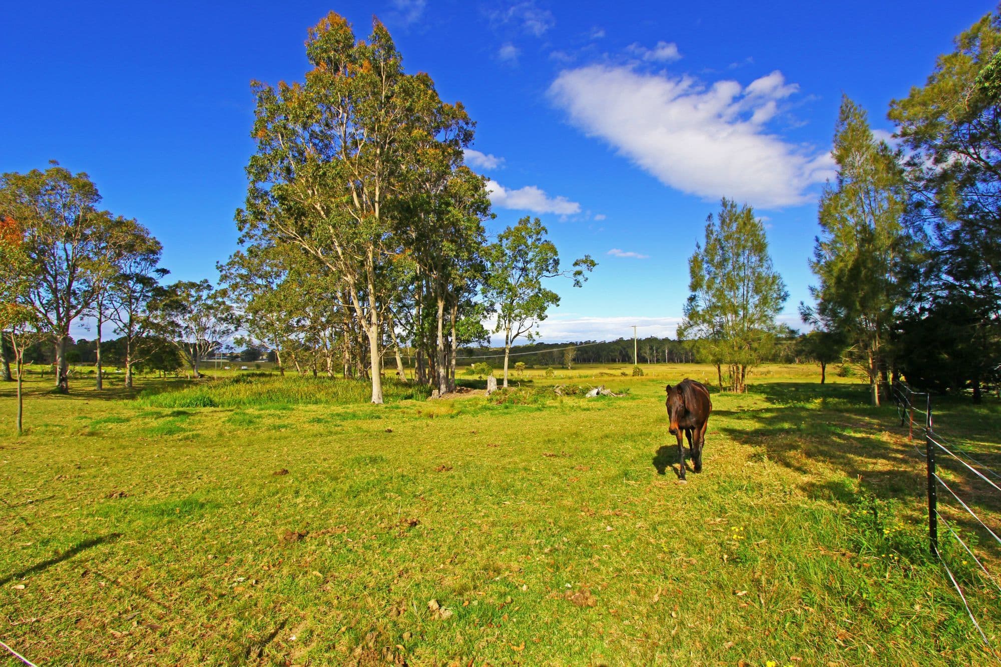 20 Jensen Road, WADALBA NSW 2259, Wadalba - Thumbnail 4
