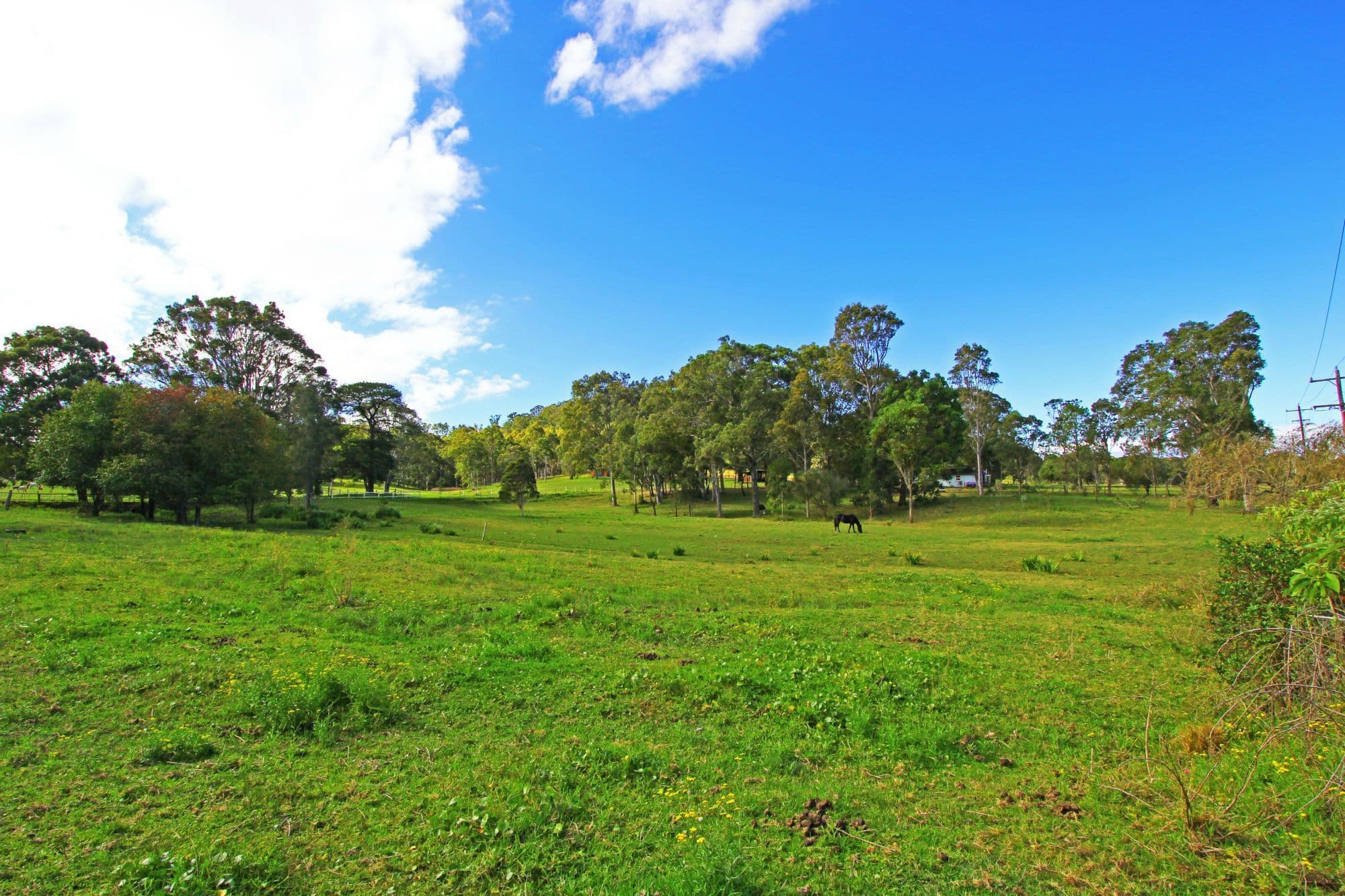 20 Jensen Road, WADALBA NSW 2259, Wadalba - Thumbnail 3