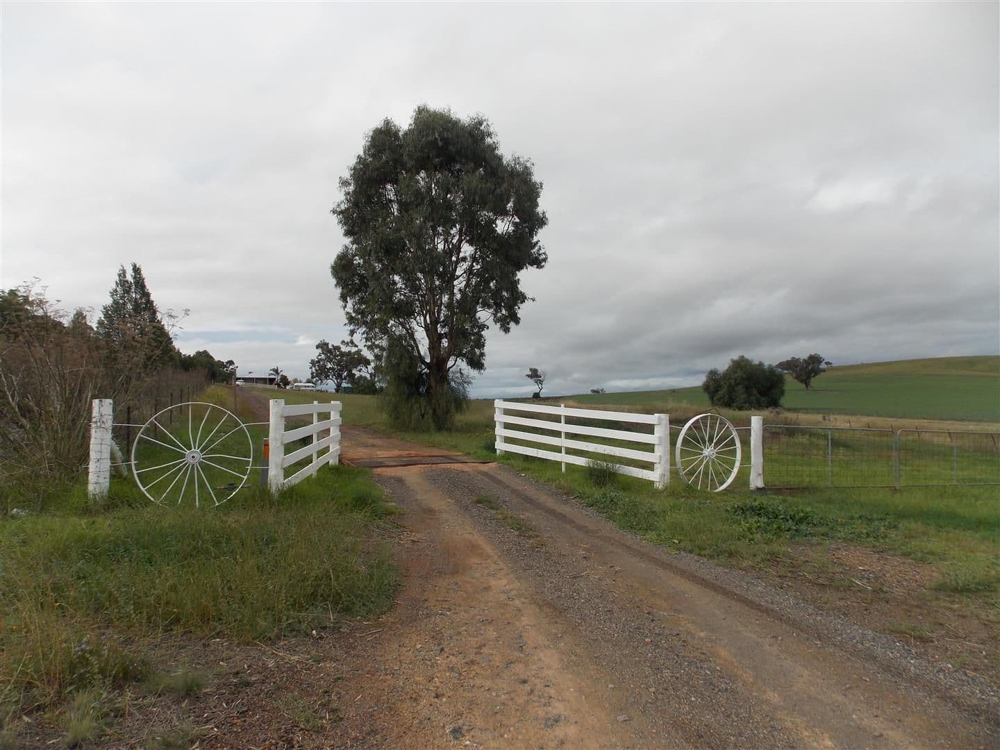 Lot 919 Charles Rigg Avenue, PARKES NSW 2870, Parkes - Thumbnail 4