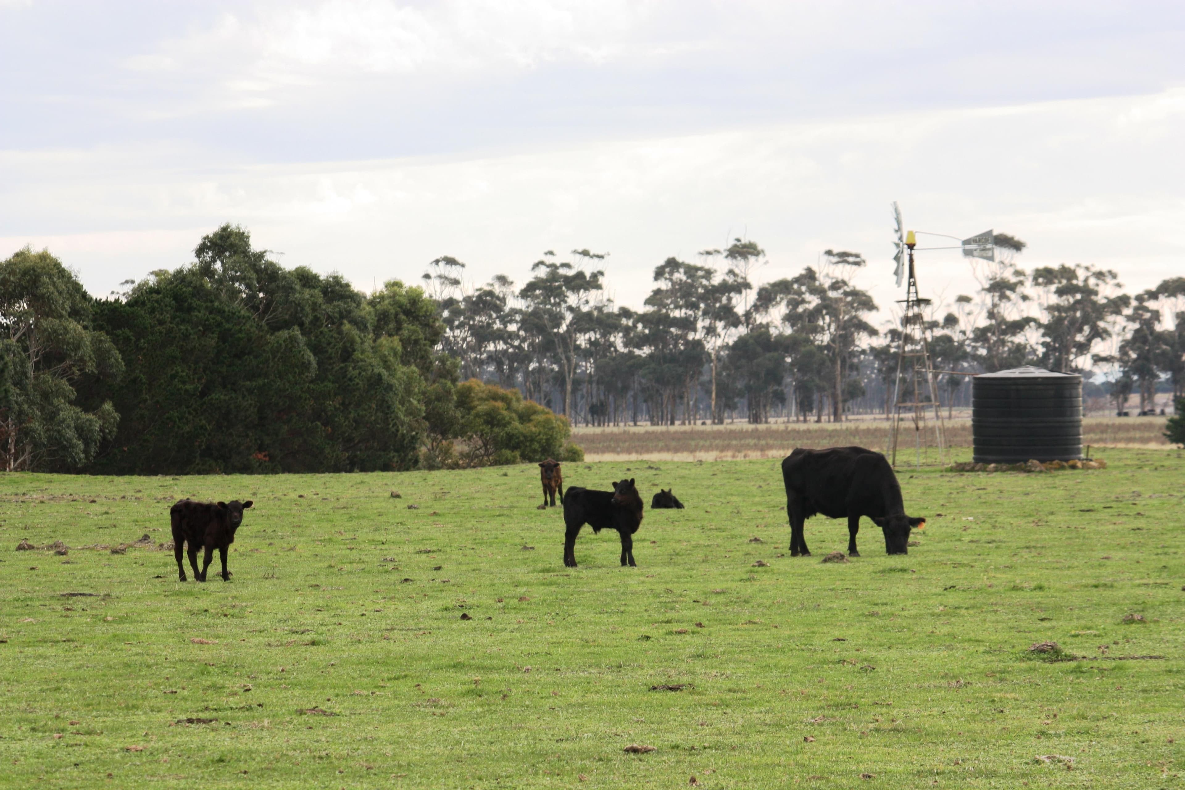 28 Taylor Street, DERRINALLUM VIC 3325, Derrinallum - Image 1