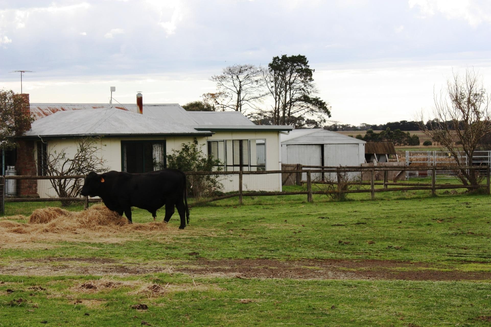 28 Taylor Street, DERRINALLUM VIC 3325, Derrinallum - Thumbnail 2