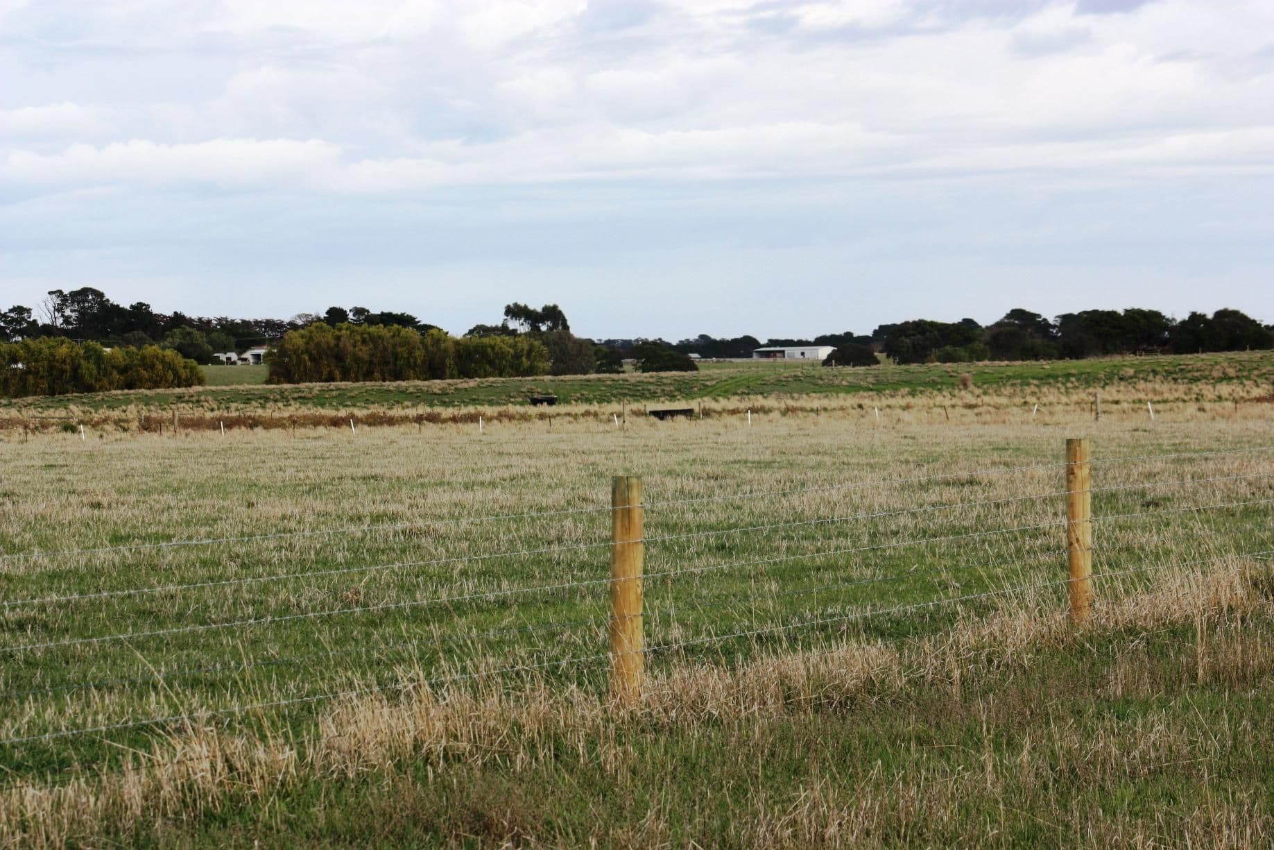 28 Taylor Street, DERRINALLUM VIC 3325, Derrinallum - Thumbnail 3