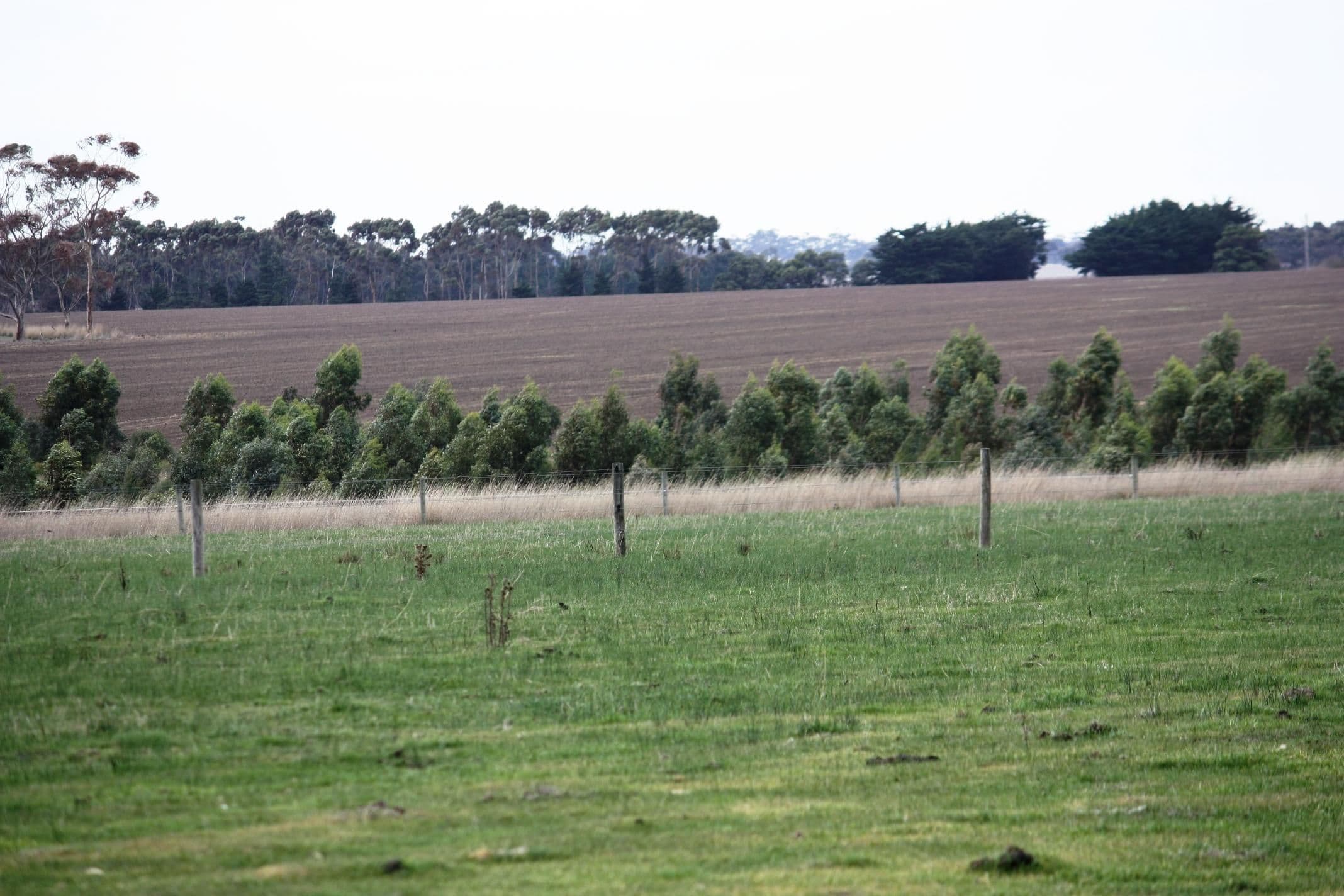 28 Taylor Street, DERRINALLUM VIC 3325, Derrinallum - Thumbnail 7
