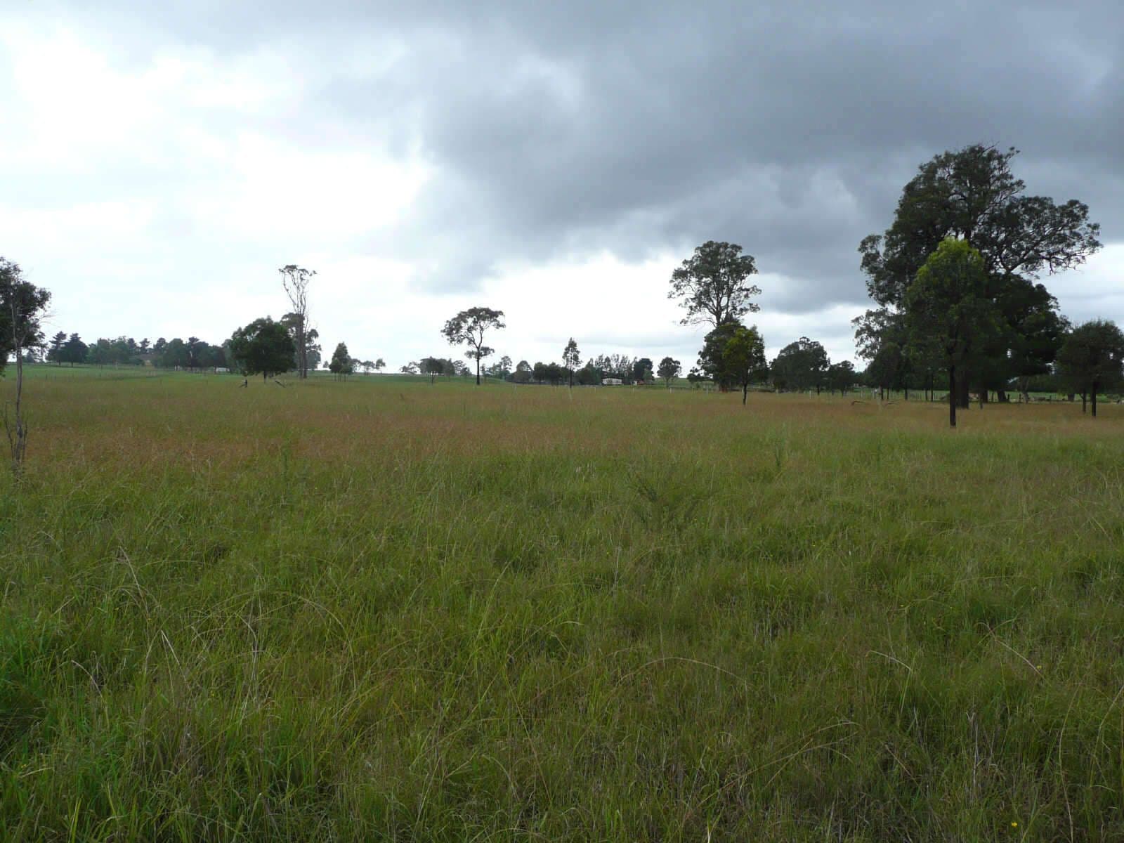 115 Nightingale Road, PHEASANTS NEST NSW 2574, Pheasants Nest - Image 1