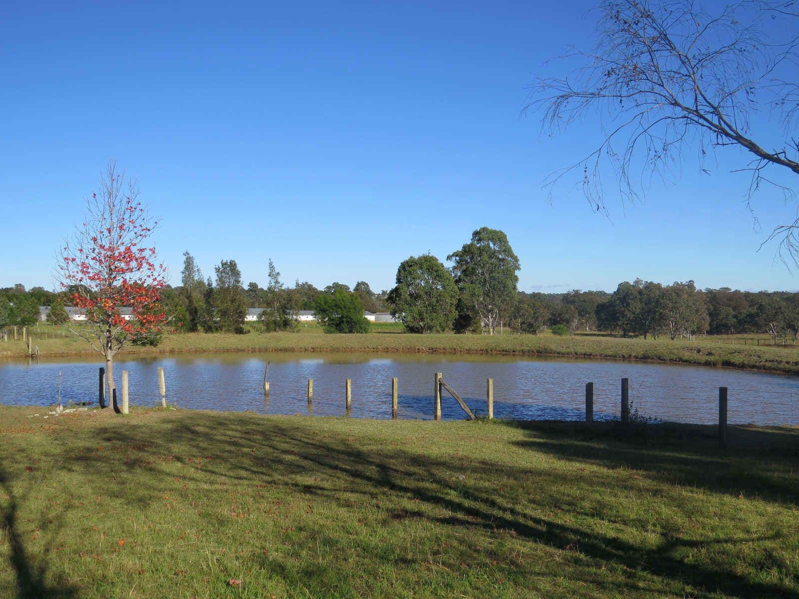 115 Nightingale Road, PHEASANTS NEST NSW 2574, Pheasants Nest - Thumbnail 2