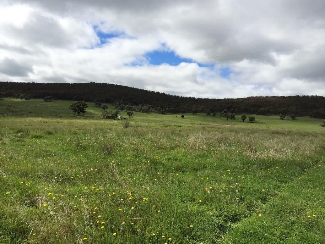 130 Rhyanna Road, GOULBURN NSW 2580, Goulburn - Image 1