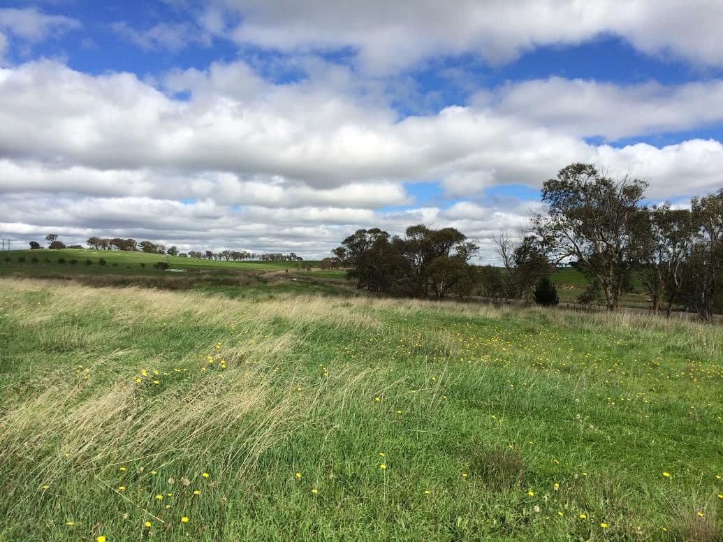 130 Rhyanna Road, GOULBURN NSW 2580, Goulburn - Thumbnail 7