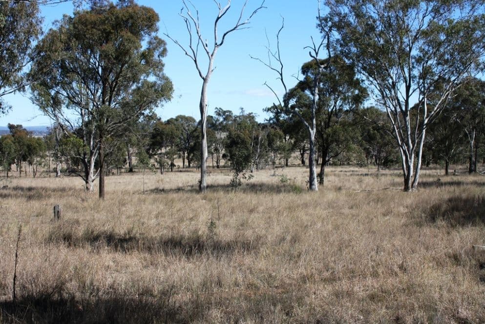 652 Upper Wheatvale Rd, Massie, WARWICK QLD 4370, Warwick - Thumbnail 5