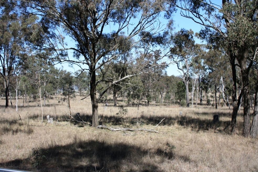 652 Upper Wheatvale Rd, Massie, WARWICK QLD 4370, Warwick - Thumbnail 4