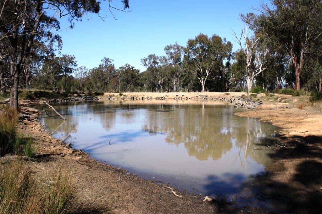 652 Upper Wheatvale Rd, Massie, WARWICK QLD 4370, Warwick - Thumbnail 7