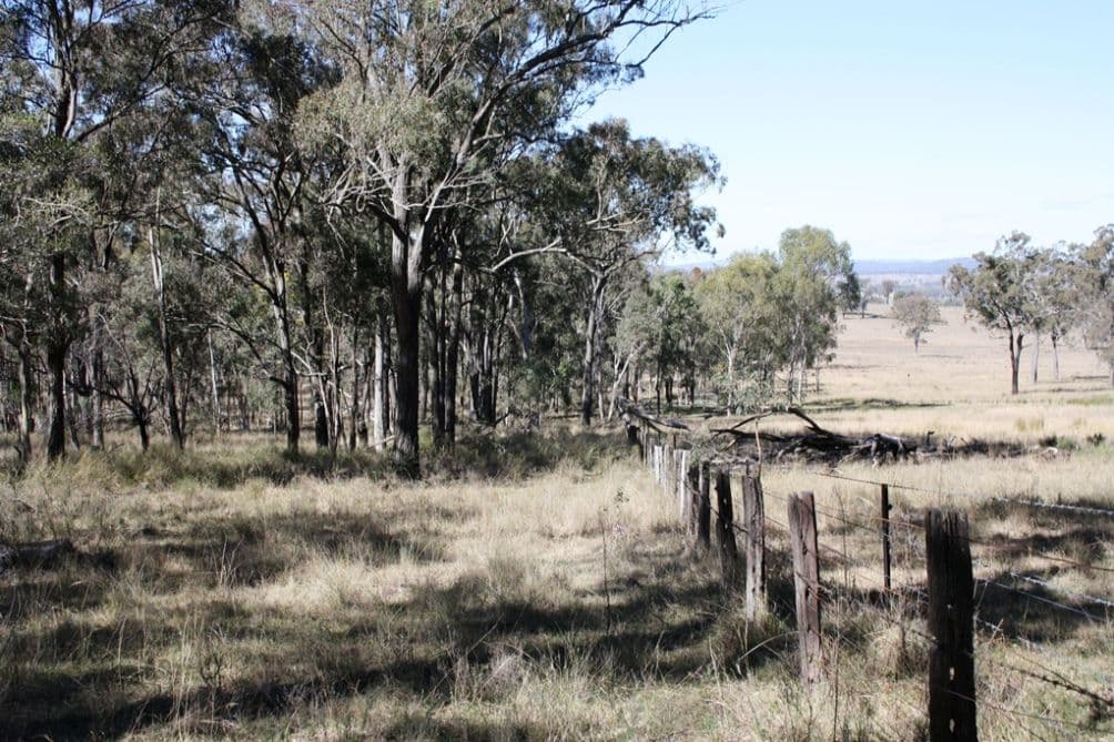 652 Upper Wheatvale Rd, Massie, WARWICK QLD 4370, Warwick - Thumbnail 6