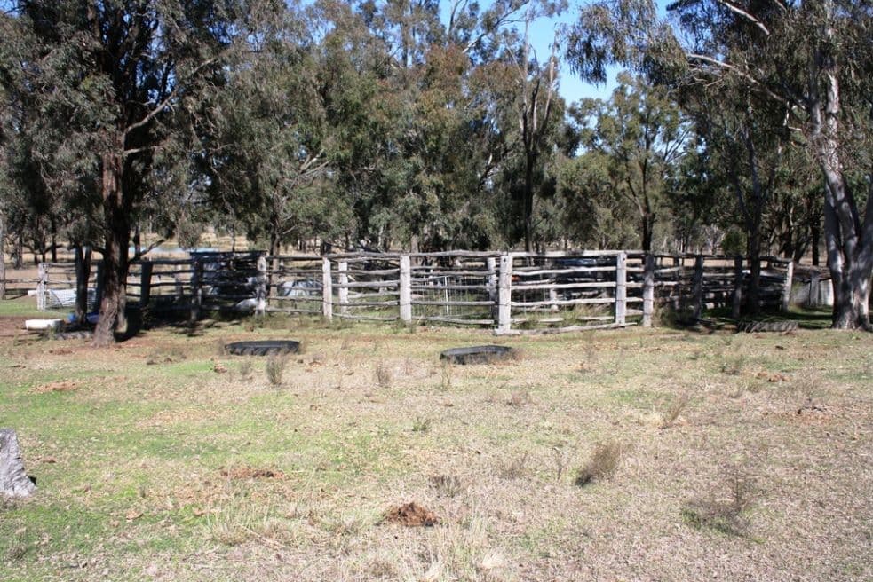 652 Upper Wheatvale Rd, Massie, WARWICK QLD 4370, Warwick - Thumbnail 8