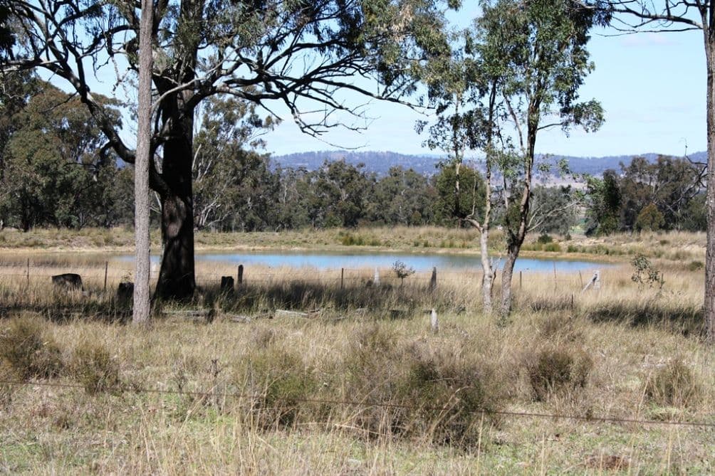 652 Upper Wheatvale Rd, Massie, WARWICK QLD 4370, Warwick - Image 1