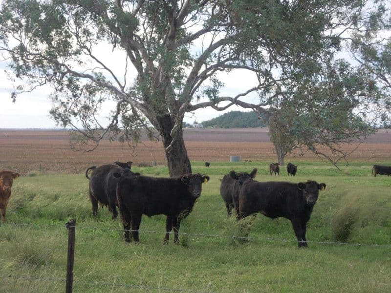 Lot 46 Toowoomba Cecil Plains Road, MOUNT TYSON QLD 4356, Mount Tyson - Image 1