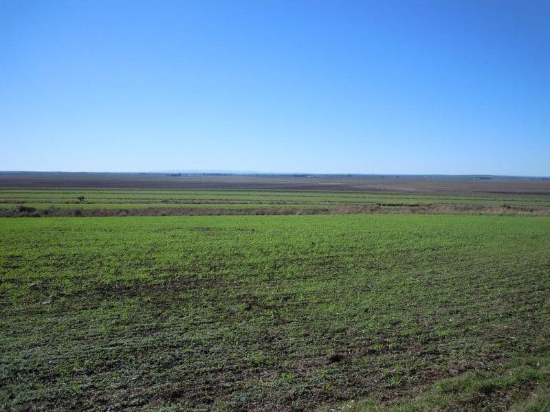00 Matthews Rd, Mt Moriah, JONDARYAN QLD 4403, Jondaryan - Thumbnail 2