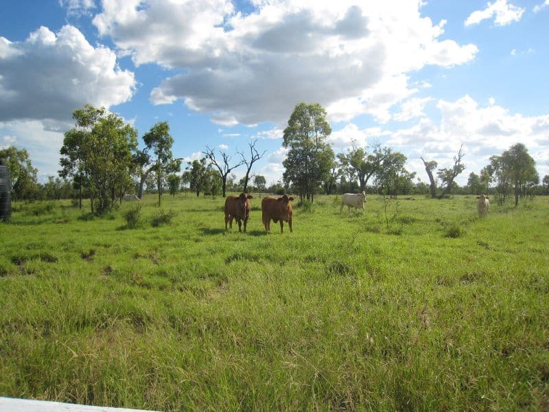 EMERALD QLD 4720, Emerald - Thumbnail 8
