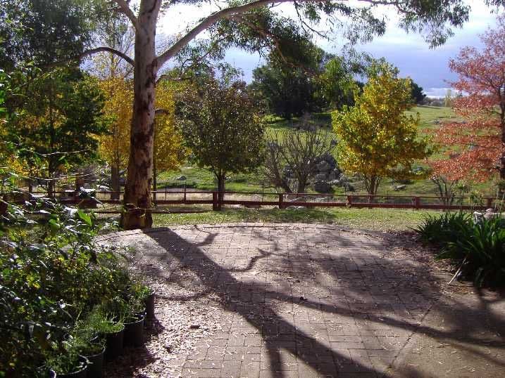 16 Bunn Street, BRAIDWOOD NSW 2622, Braidwood - Thumbnail 5