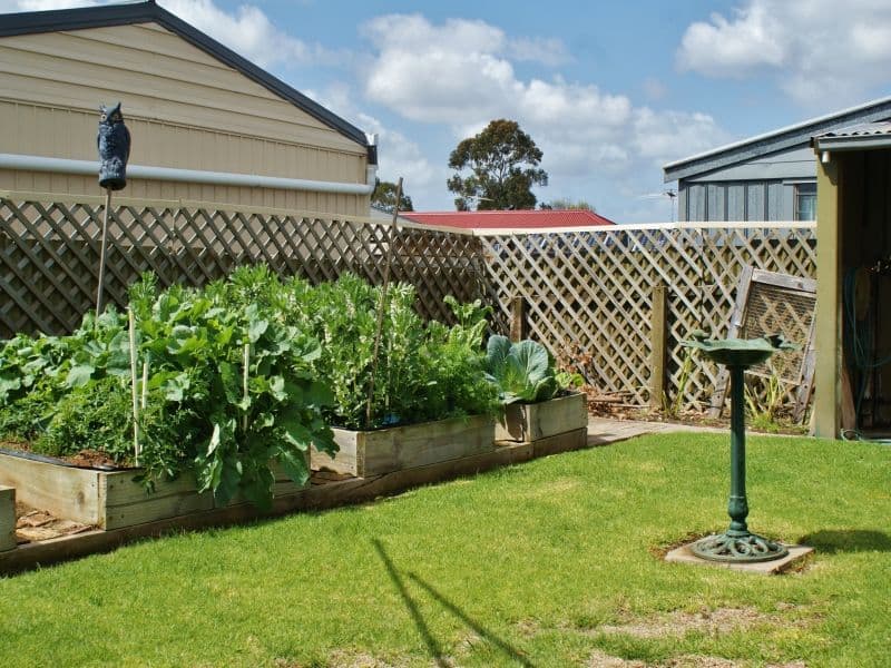 15 Knight Street, MURRAY BRIDGE SA 5253, Murray Bridge - Thumbnail 7