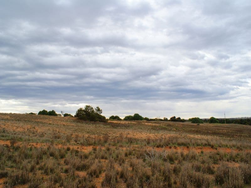 Lot 22 Attrill Road, MONTEITH SA 5254, Monteith - Thumbnail 7