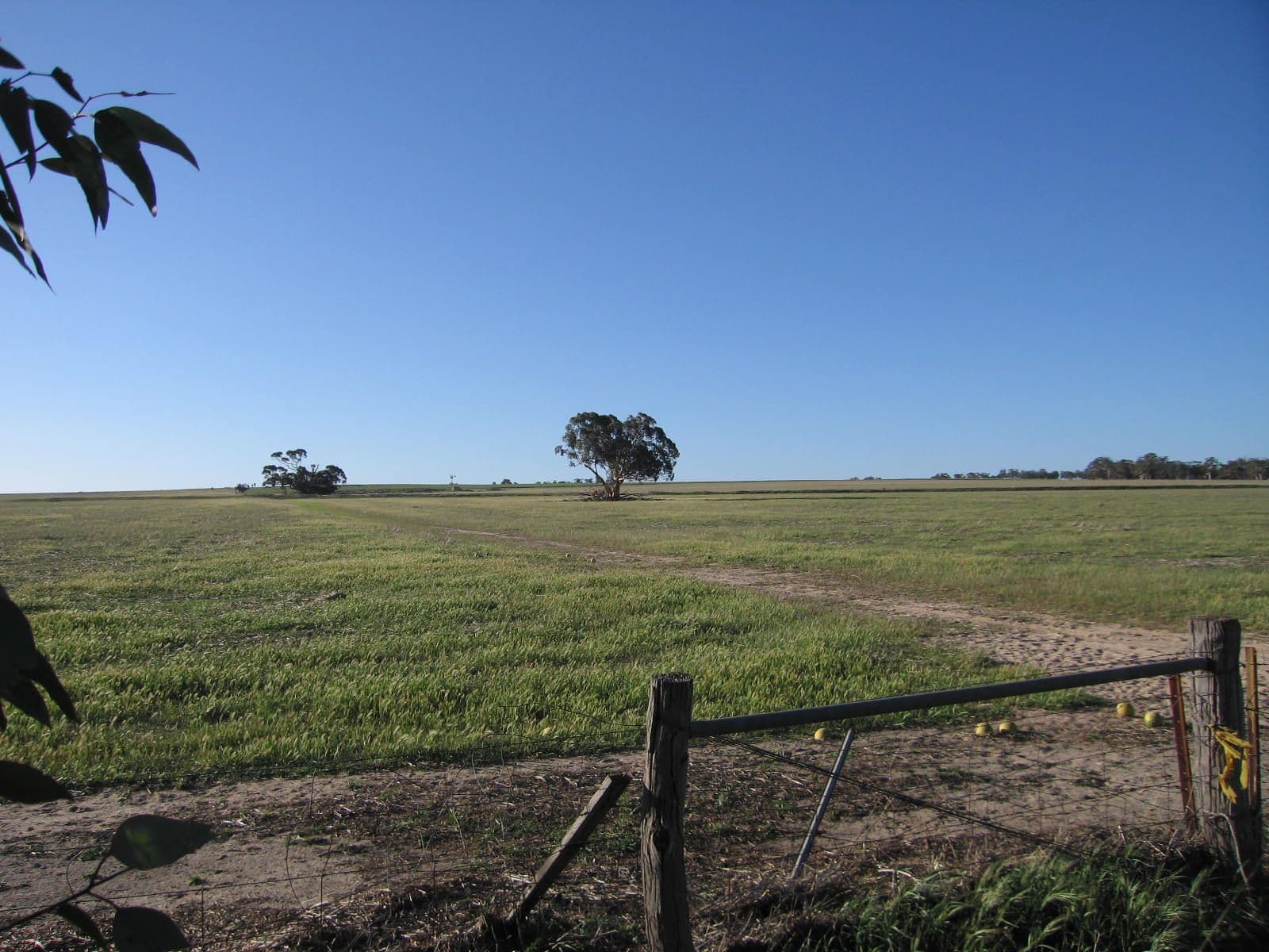 Lot 12552 Billacabella-Doodenanning Road, Quairading WA 6383, Quairading - Image 1