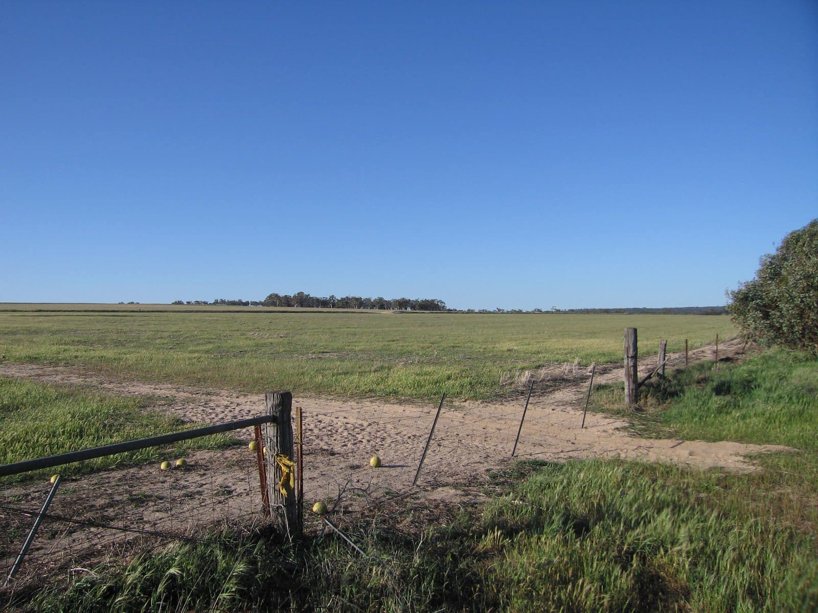 Lot 12552 Billacabella-Doodenanning Road, Quairading WA 6383, Quairading - Thumbnail 2