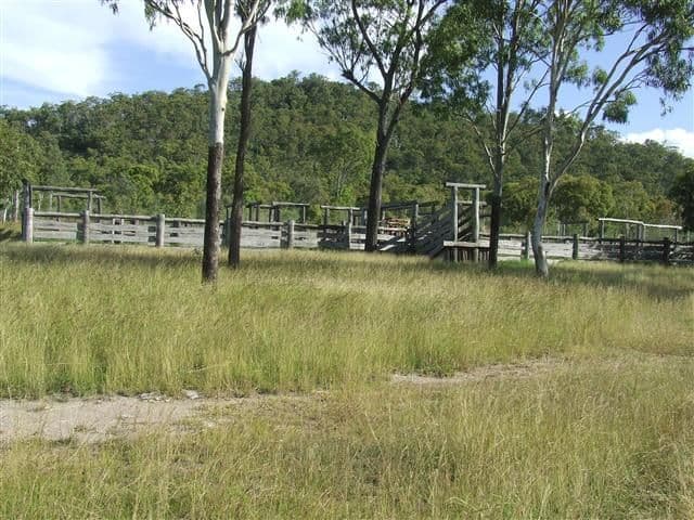 186 Wattlebank Road, Canoona QLD 4702, Canoona - Thumbnail 4