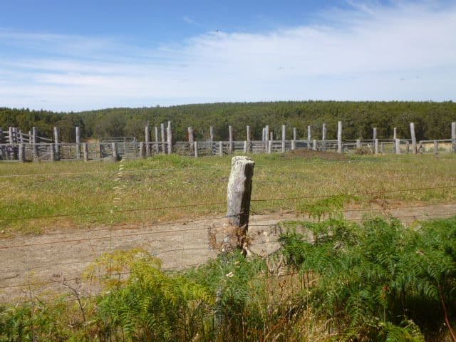 363 Amarellup Road, PERILLUP WA 6324, Perillup - Thumbnail 3