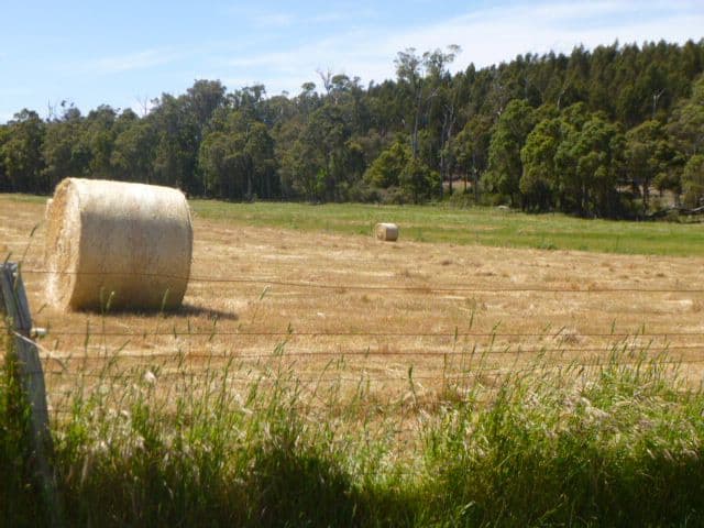 363 Amarellup Road, PERILLUP WA 6324, Perillup - Thumbnail 4