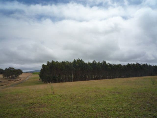 Lot 13 Watermans Road, MOUNT BARKER WA 6324, Mount Barker - Thumbnail 4