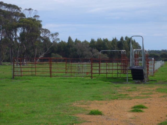 Lot 151 Lake Barnes Road, NARRIKUP WA 6326, Narrikup - Thumbnail 3