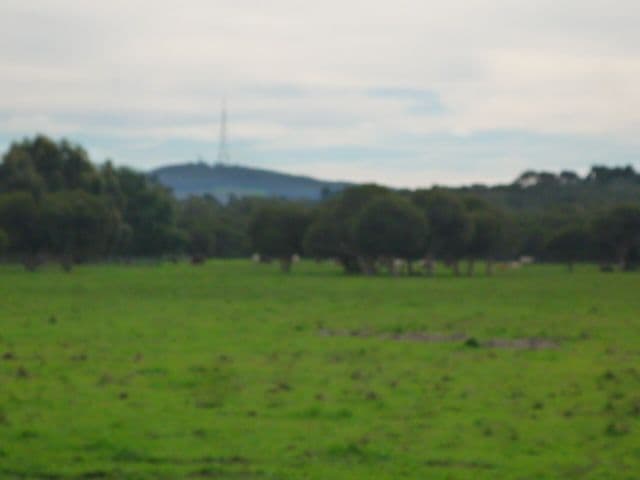 Lot 151 Lake Barnes Road, NARRIKUP WA 6326, Narrikup - Thumbnail 5