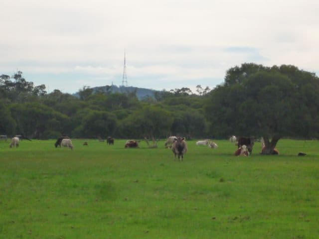 Lot 151 Lake Barnes Road, NARRIKUP WA 6326, Narrikup - Thumbnail 6