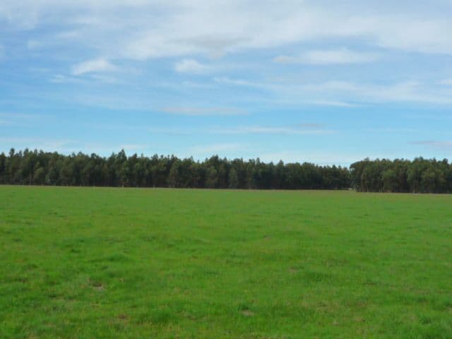 Lot 151 Lake Barnes Road, NARRIKUP WA 6326, Narrikup - Thumbnail 8