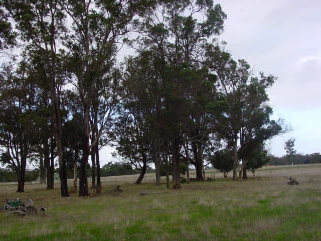 Lot 21 Frankland/Cranbrook Road, FRANKLAND RIVER WA 6396, Frankland River - Thumbnail 2