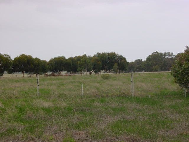 Lot 21 Frankland/Cranbrook Road, FRANKLAND RIVER WA 6396, Frankland River - Thumbnail 3