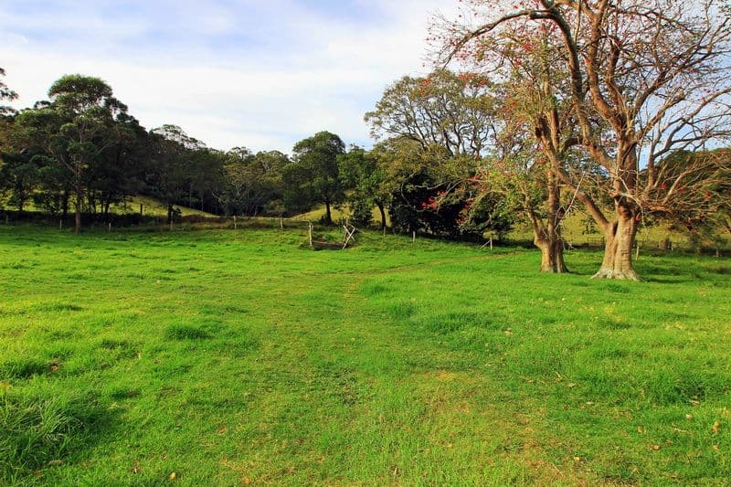 231 Curramore Road, JAMBEROO NSW 2533, Jamberoo - Thumbnail 4