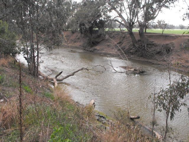 2006 Lachlan Valley Way, FORBES NSW 2871, Forbes - Image 1