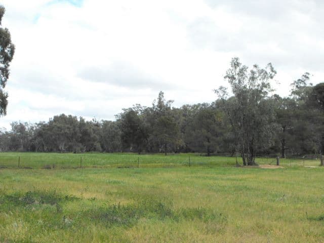 2006 Lachlan Valley Way, FORBES NSW 2871, Forbes - Thumbnail 3