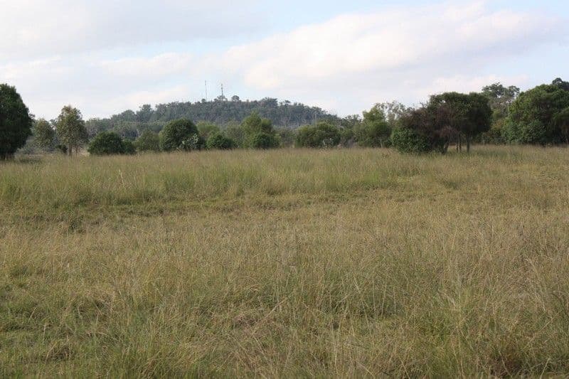 L2727 Scrubby Mt Road, PITTSWORTH QLD 4356, Pittsworth - Thumbnail 4