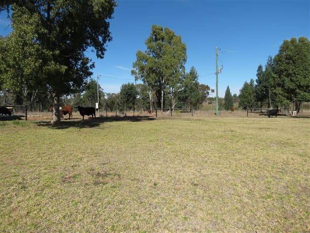 693 Roma Taroom Road, ROMA QLD 4455, Roma - Thumbnail 4