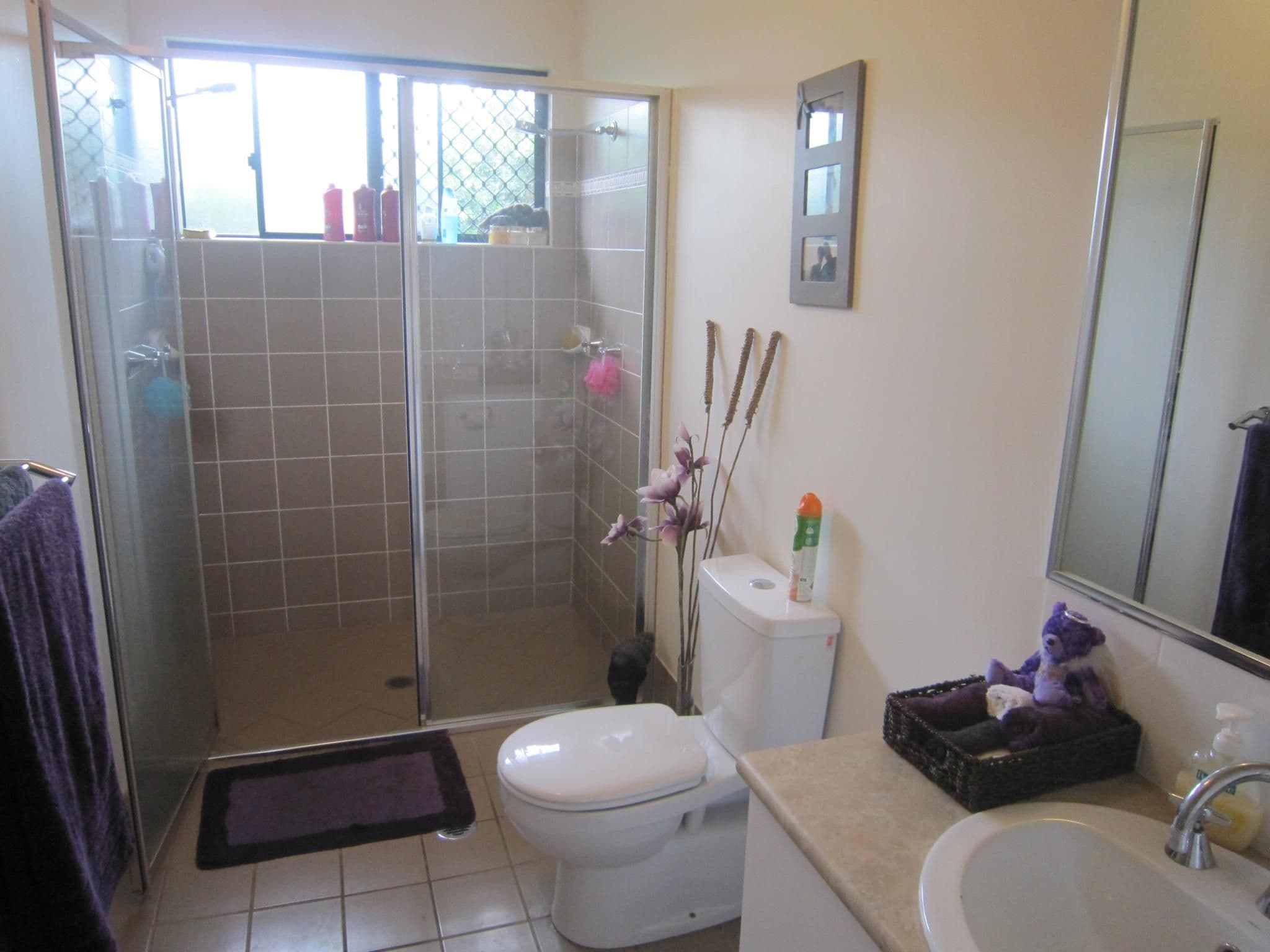 22 Banville Street, EDMONTON QLD 4869, Edmonton - Thumbnail 6