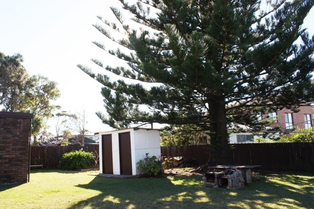 16 The Lookout, MANYANA NSW 2539, Manyana - Thumbnail 6