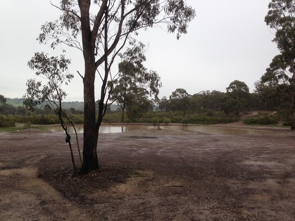 Lot 12 Butler Court, CORNELLA VIC 3551, Cornella - Thumbnail 2