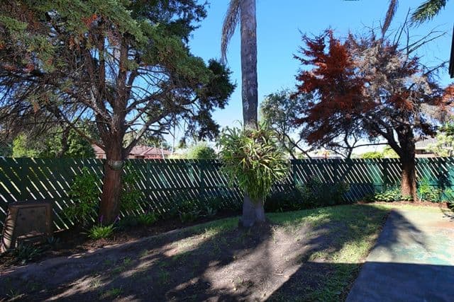 12 Churinga Street, MINYAMA QLD 4575, Minyama - Thumbnail 4