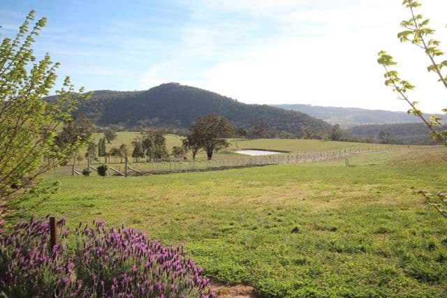 1682 Hazelgrove Road, TARANA NSW 2787, Tarana - Thumbnail 3
