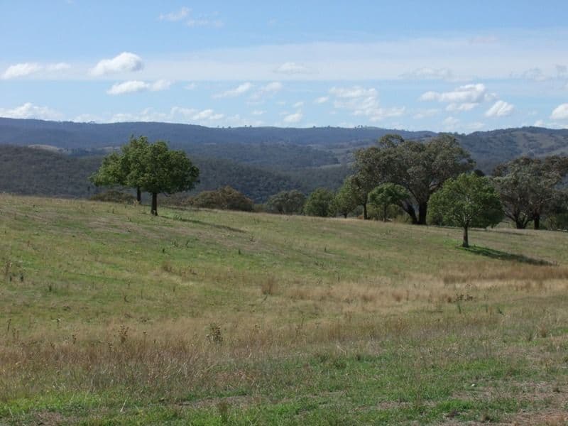 2345 Ophir Road, ORANGE NSW 2800, Orange - Thumbnail 7